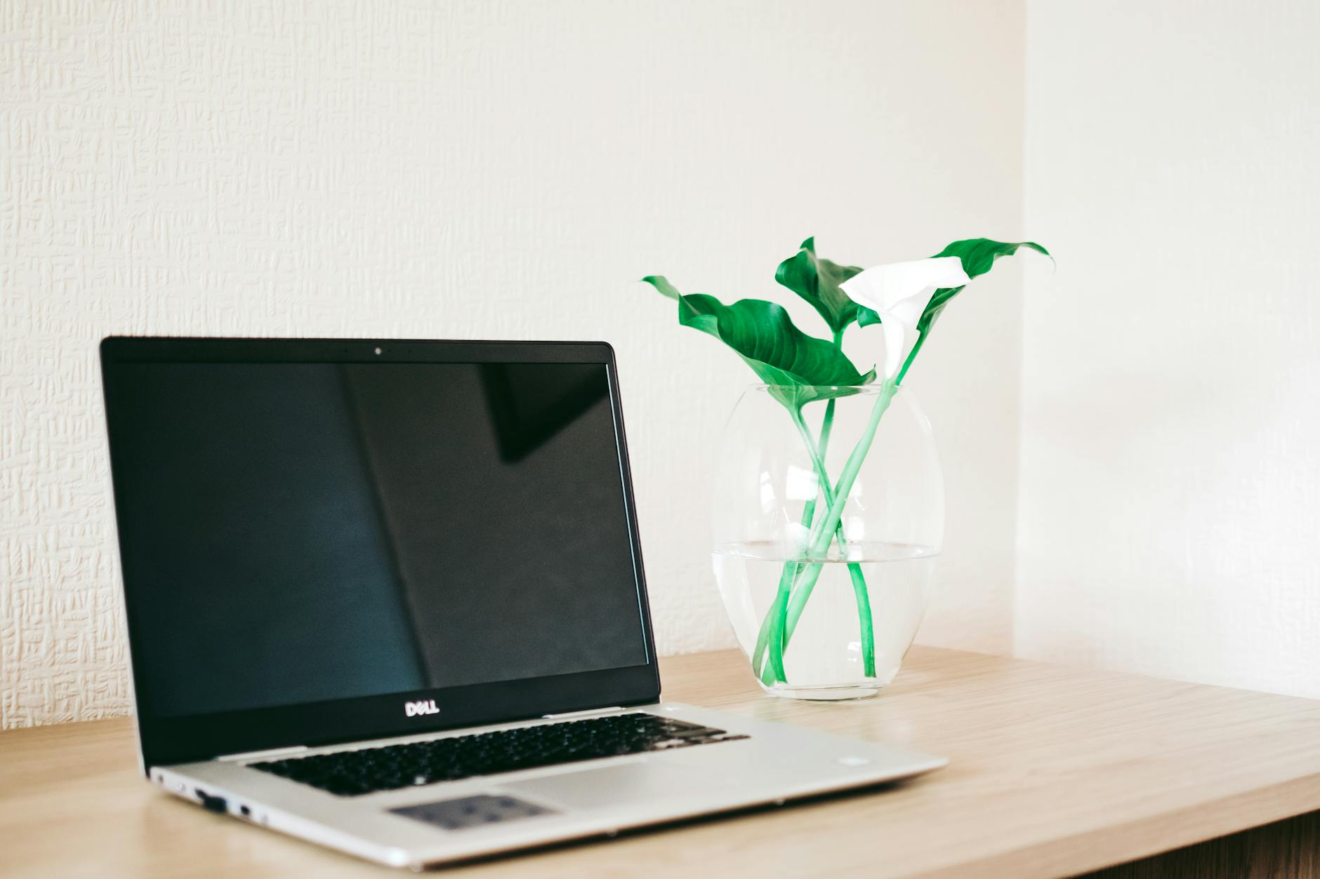 Laptopy Dell Pro Plus w AG.pl – technologia, która zmienia codzienną pracę